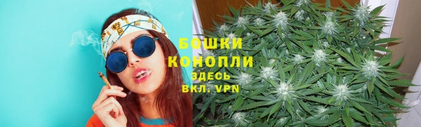 шишки Касимов