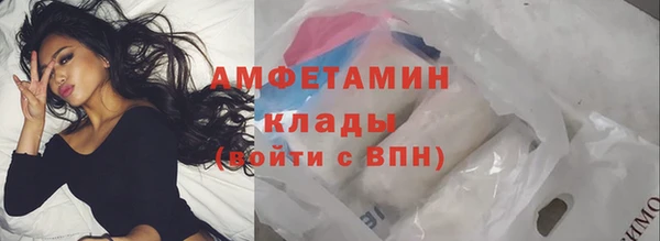 шишки Касимов