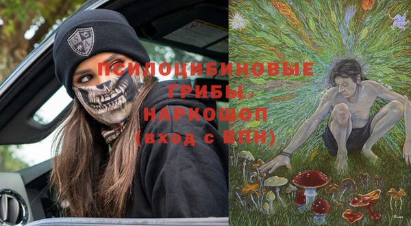 твердый Кинешма
